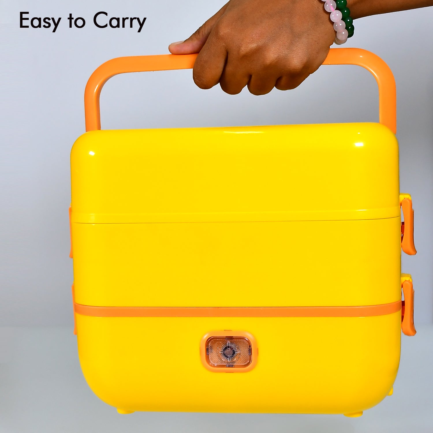 2-layer lunch box with removable steel containers 2-layer lunch box with removable steel containers